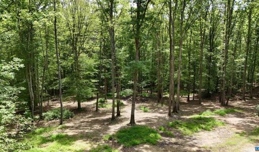 Photo #6 of N-74 SALEM RD, SCHUYLER, VA 11.6 acres