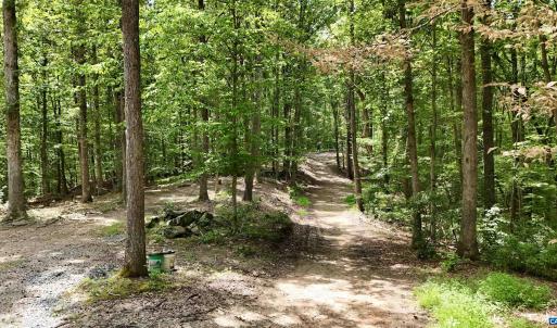 Photo #9 of N-74 SALEM RD, SCHUYLER, VA 11.6 acres