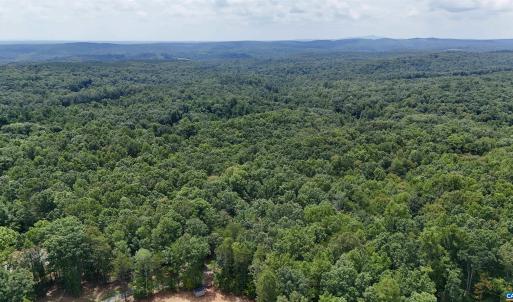 Photo #6 of N-74 SALEM RD, SCHUYLER, VA 11.6 acres