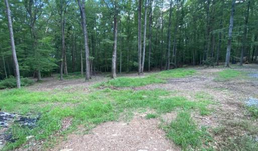 Photo #11 of N-74 SALEM RD, SCHUYLER, VA 11.6 acres