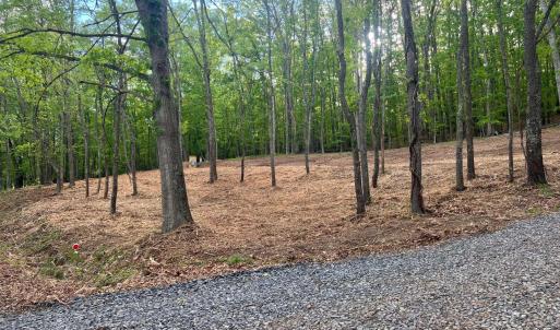 Photo #7 of WESTMINISTER DR, MILLBORO, VA 0.8 acres