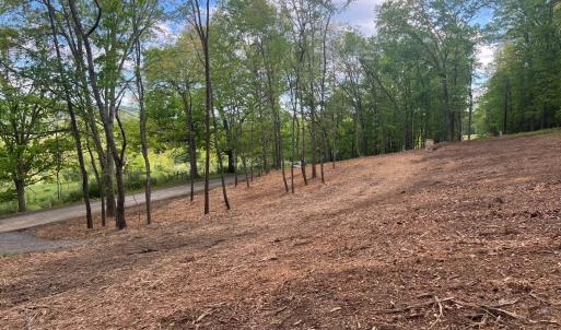 Photo #8 of WESTMINISTER DR, MILLBORO, VA 0.8 acres