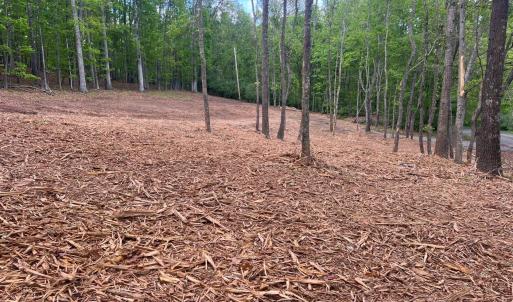 Photo #1 of WESTMINISTER DR, MILLBORO, VA 0.8 acres