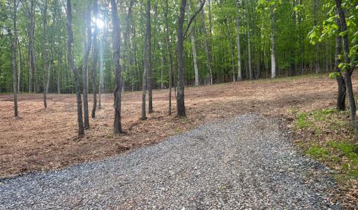 Photo #6 of WESTMINISTER DR, MILLBORO, VA 0.8 acres
