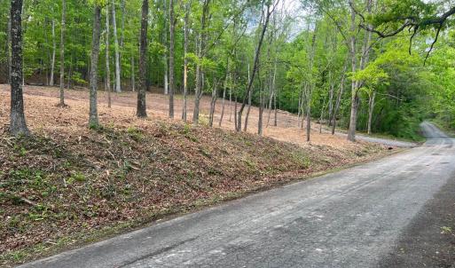 Photo #4 of WESTMINISTER DR, MILLBORO, VA 0.8 acres