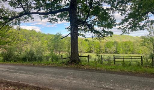 Photo #12 of WESTMINISTER DR, MILLBORO, VA 0.8 acres