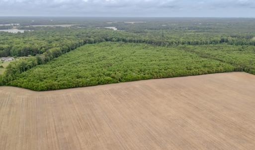 Photo #3 of WILSONIA NECK DR, MACHIPONGO, VA 152.1 acres