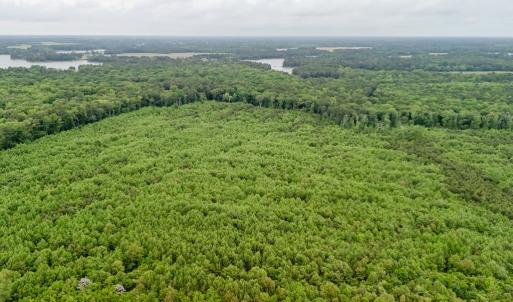 Photo #4 of WILSONIA NECK DR, MACHIPONGO, VA 152.1 acres
