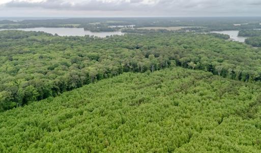 Photo #5 of WILSONIA NECK DR, MACHIPONGO, VA 152.1 acres