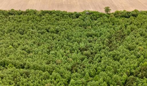 Photo #6 of WILSONIA NECK DR, MACHIPONGO, VA 152.1 acres