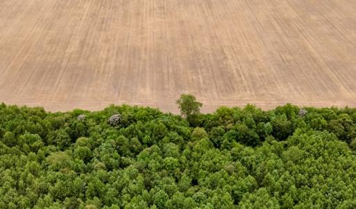 Photo #7 of WILSONIA NECK DR, MACHIPONGO, VA 152.1 acres