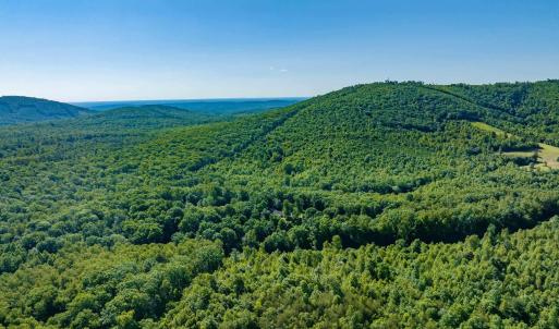 Photo #21 of 7869 LAUREL RD, SHIPMAN, VA 73.0 acres