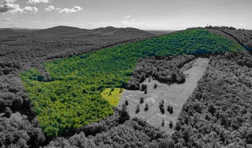 Photo #2 of 7869 LAUREL RD, SHIPMAN, VA 73.0 acres