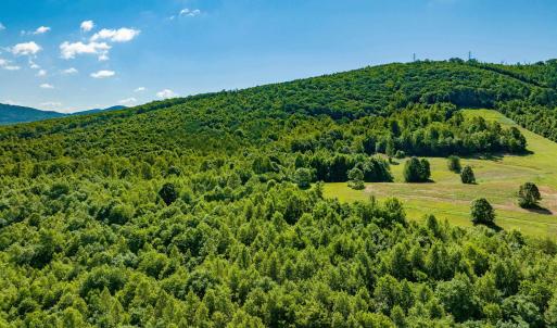 Photo #22 of 7869 LAUREL RD, SHIPMAN, VA 73.0 acres