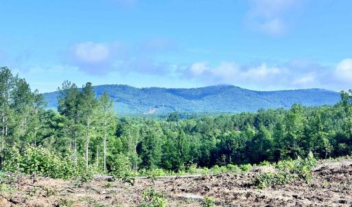 Photo #3 of HUNTING LODGE RD, SCHUYLER, VA 41.9 acres