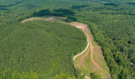 Photo #17 of HUNTING LODGE RD, SCHUYLER, VA 41.9 acres