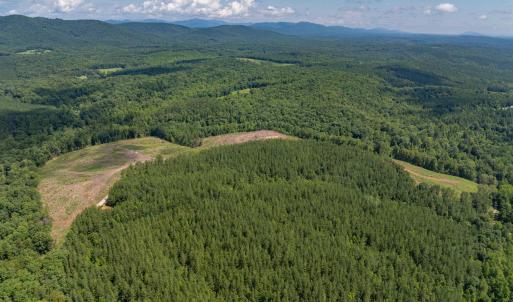 Photo #19 of HUNTING LODGE RD, SCHUYLER, VA 41.9 acres