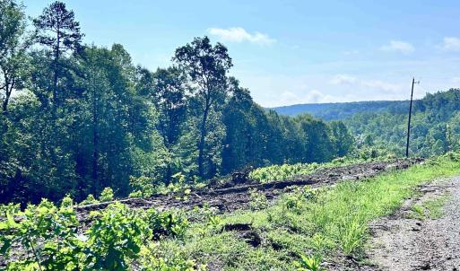 Photo #61 of HUNTING LODGE RD, SCHUYLER, VA 41.9 acres