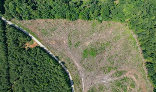 Photo #41 of HUNTING LODGE RD, SCHUYLER, VA 41.9 acres