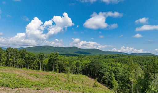 Photo #50 of HUNTING LODGE RD, SCHUYLER, VA 41.9 acres