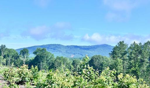 Photo #60 of HUNTING LODGE RD, SCHUYLER, VA 41.9 acres