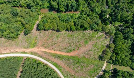Photo #36 of HUNTING LODGE RD, SCHUYLER, VA 41.9 acres