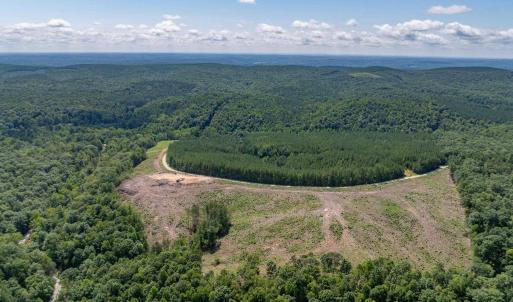 Photo #22 of HUNTING LODGE RD, SCHUYLER, VA 41.9 acres