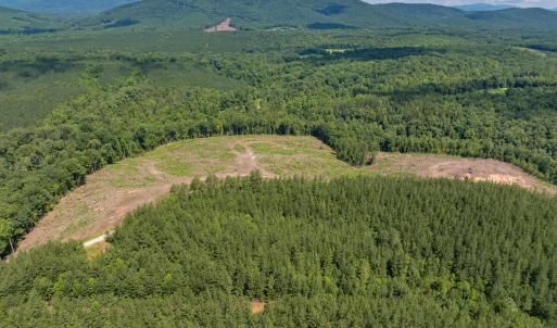 Photo #6 of HUNTING LODGE RD, SCHUYLER, VA 41.9 acres