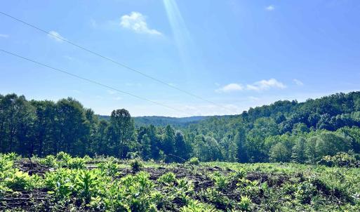 Photo #4 of HUNTING LODGE RD, SCHUYLER, VA 41.9 acres