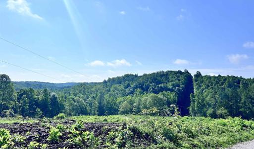 Photo #63 of HUNTING LODGE RD, SCHUYLER, VA 41.9 acres