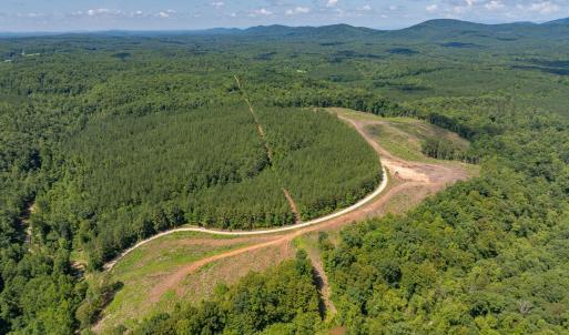 Photo #14 of HUNTING LODGE RD, SCHUYLER, VA 41.9 acres