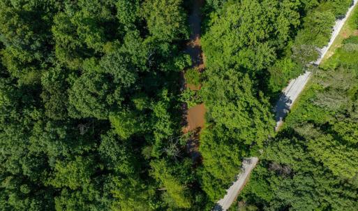 Photo #55 of HUNTING LODGE RD, SCHUYLER, VA 41.9 acres