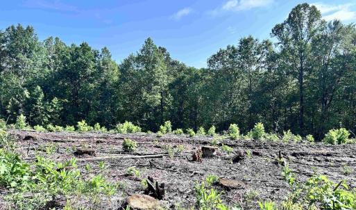 Photo #62 of HUNTING LODGE RD, SCHUYLER, VA 41.9 acres