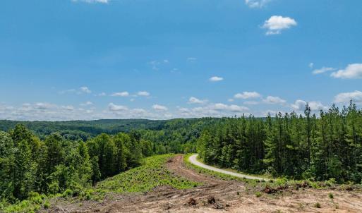 Photo #48 of HUNTING LODGE RD, SCHUYLER, VA 41.9 acres