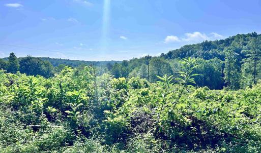 Photo #64 of HUNTING LODGE RD, SCHUYLER, VA 41.9 acres