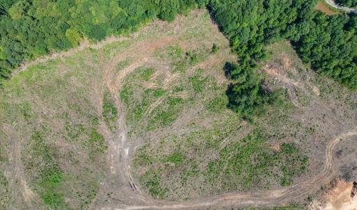 Photo #40 of HUNTING LODGE RD, SCHUYLER, VA 41.9 acres