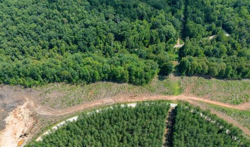 Photo #34 of HUNTING LODGE RD, SCHUYLER, VA 41.9 acres