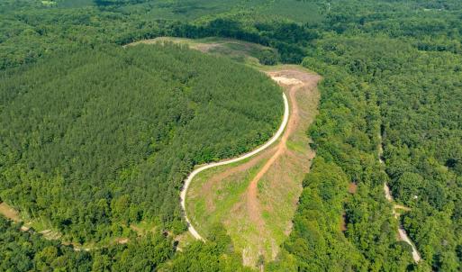 Photo #16 of HUNTING LODGE RD, SCHUYLER, VA 41.9 acres