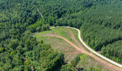 Photo #12 of HUNTING LODGE RD, SCHUYLER, VA 41.9 acres