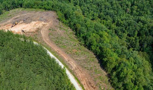 Photo #25 of HUNTING LODGE RD, SCHUYLER, VA 41.9 acres