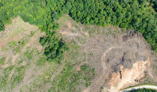 Photo #39 of HUNTING LODGE RD, SCHUYLER, VA 41.9 acres