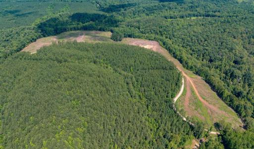 Photo #18 of HUNTING LODGE RD, SCHUYLER, VA 41.9 acres