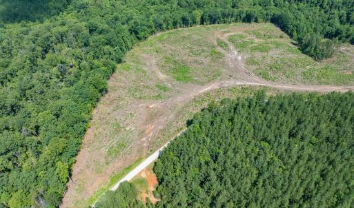 Photo #29 of HUNTING LODGE RD, SCHUYLER, VA 41.9 acres