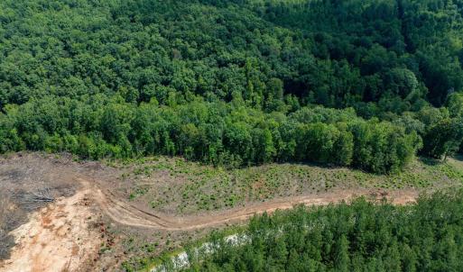 Photo #26 of HUNTING LODGE RD, SCHUYLER, VA 41.9 acres