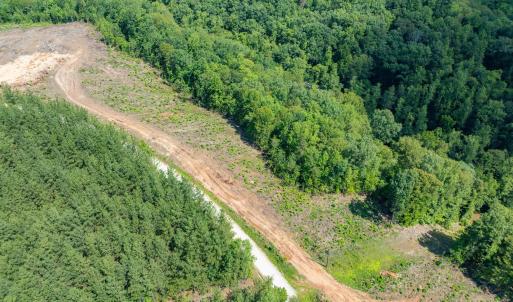 Photo #24 of HUNTING LODGE RD, SCHUYLER, VA 41.9 acres