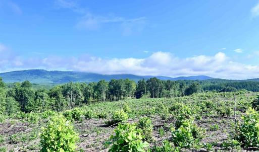Photo #65 of HUNTING LODGE RD, SCHUYLER, VA 41.9 acres