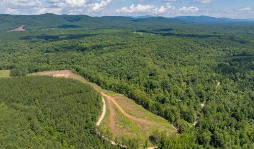 Photo #9 of HUNTING LODGE RD, SCHUYLER, VA 41.9 acres
