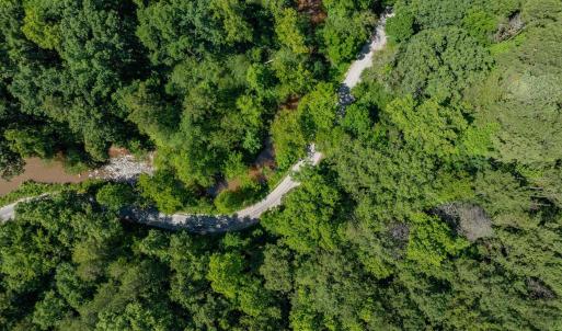 Photo #57 of HUNTING LODGE RD, SCHUYLER, VA 41.9 acres