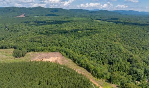 Photo #8 of HUNTING LODGE RD, SCHUYLER, VA 41.9 acres