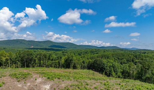 Photo #51 of HUNTING LODGE RD, SCHUYLER, VA 41.9 acres